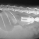 Illustration for article titled X-rays of the weird things that vets find inside pets